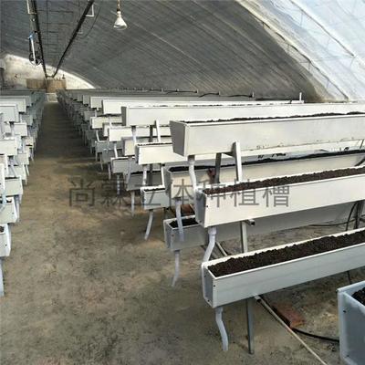 觀光采摘與現代農業種植槽 草莓種植槽、果蔬栽培槽與立體種植槽的批發優勢
