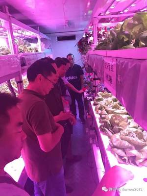 智慧農業新篇章 宿遷市領導參觀旭田植物工廠，共話苗木種植現代化未來